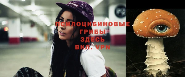 соль курить ск Абаза